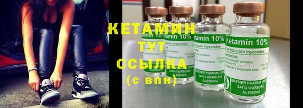 молекула духа Болотное