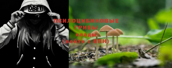 круглые Белокуриха